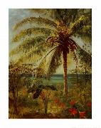 Albert Bierstadt Palm Tree, Nassau by Albert Bierstadt oil